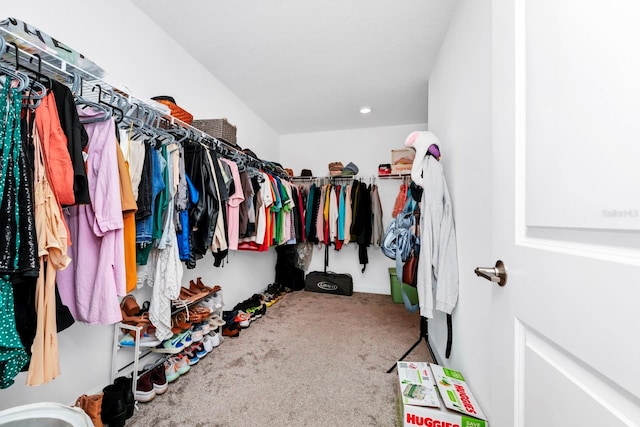 walk in closet featuring carpet floors