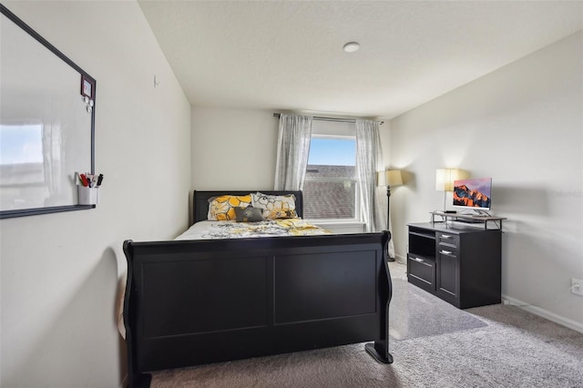 bedroom with carpet floors