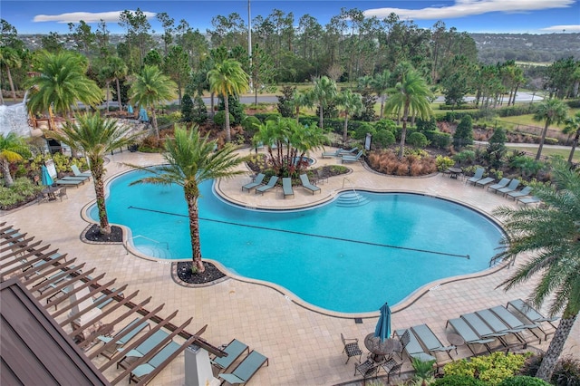 view of swimming pool with a patio area