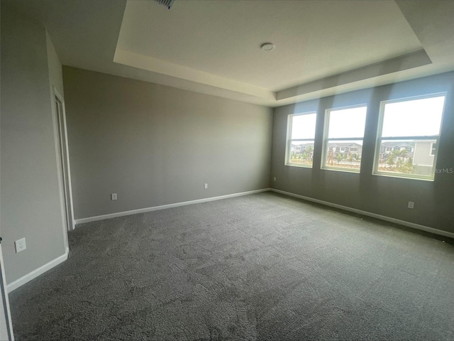 unfurnished room featuring baseboards, carpet, and a tray ceiling