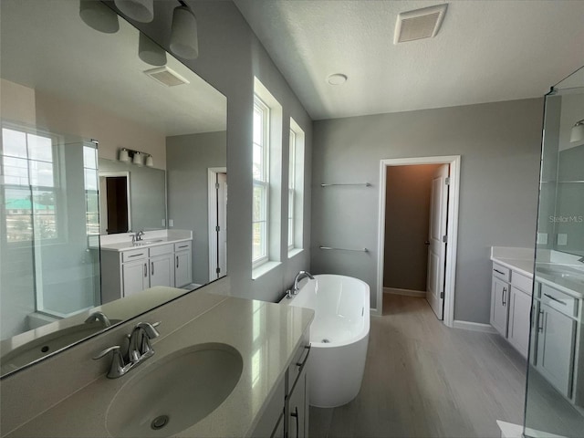 bathroom with a soaking tub, visible vents, and a sink