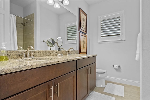 bathroom featuring toilet, vanity, and wood-type flooring