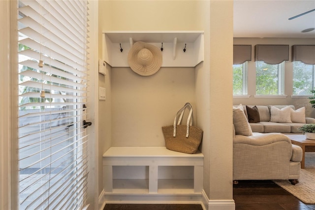 mudroom with a wealth of natural light and dark hardwood / wood-style flooring