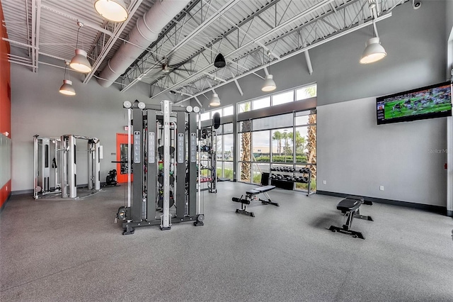 workout area featuring a towering ceiling