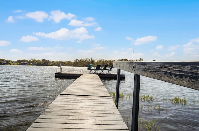 dock area featuring a water view