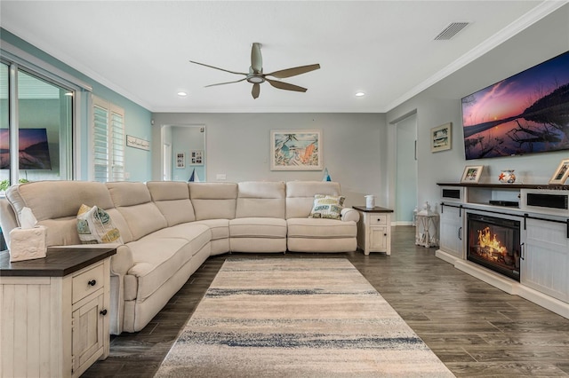 living room with ceiling fan, dark hardwood / wood-style floors, and crown molding