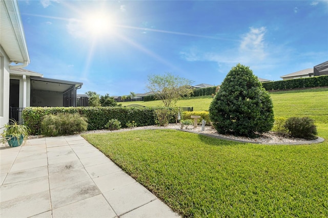 view of yard featuring a patio area