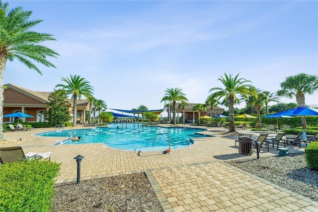 view of swimming pool featuring a patio area