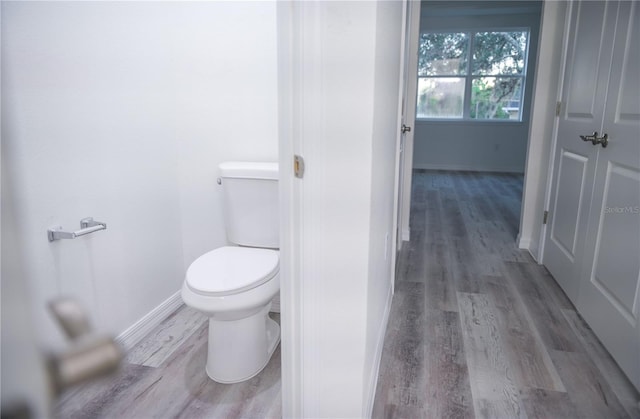 bathroom with wood-type flooring and toilet