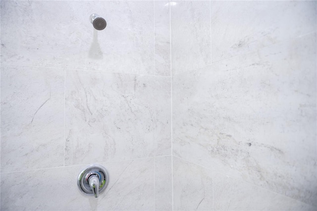 room details featuring tiled shower