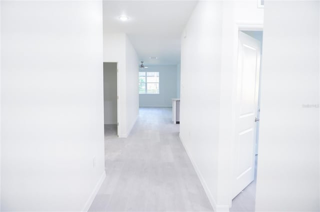 hall featuring light hardwood / wood-style floors