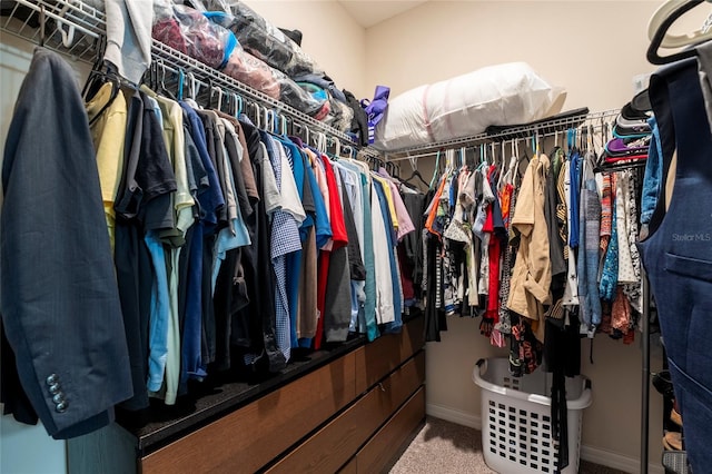 walk in closet featuring carpet flooring