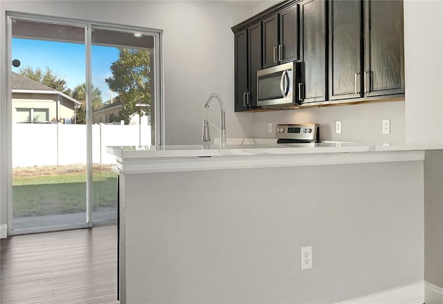 kitchen featuring dark brown cabinetry, appliances with stainless steel finishes, sink, and light hardwood / wood-style flooring