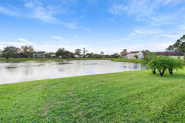 2626 Raccoon Run Ln, Orlando, FL 32837 - water view
