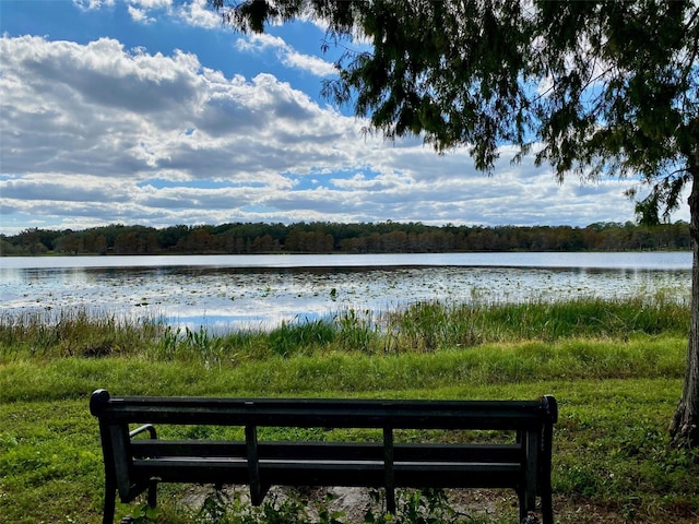 3468 Soho St Unit 107, Orlando, FL 32835 - water view with a forest