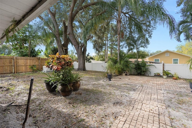 view of yard featuring a patio area and a fenced backyard