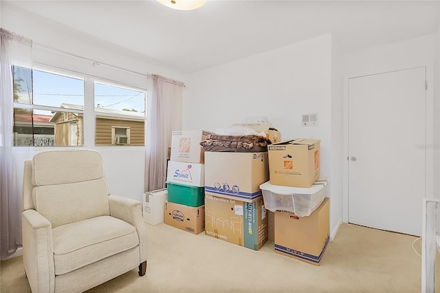 living area featuring carpet flooring