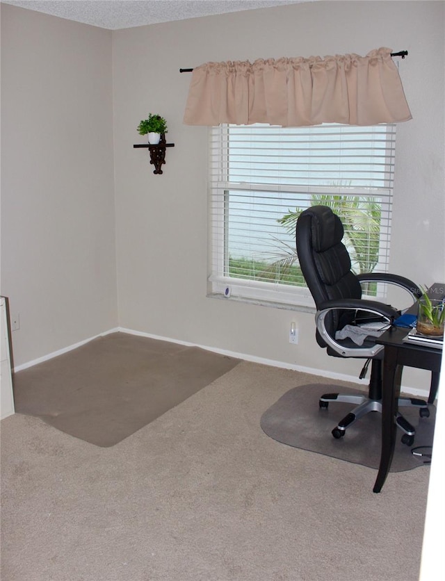 carpeted office space featuring a textured ceiling