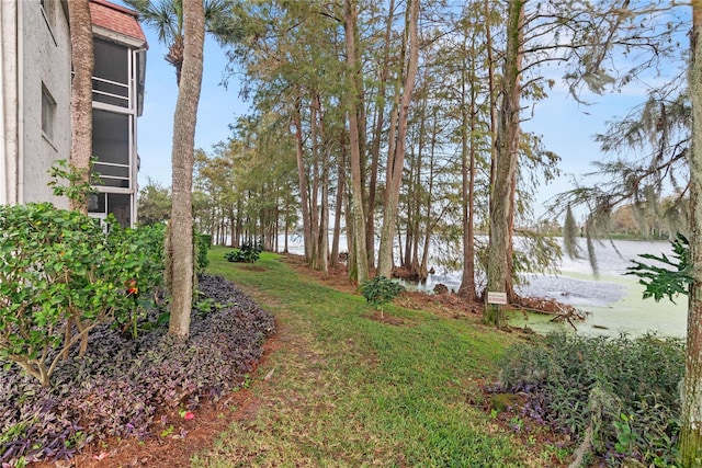 view of yard with a water view