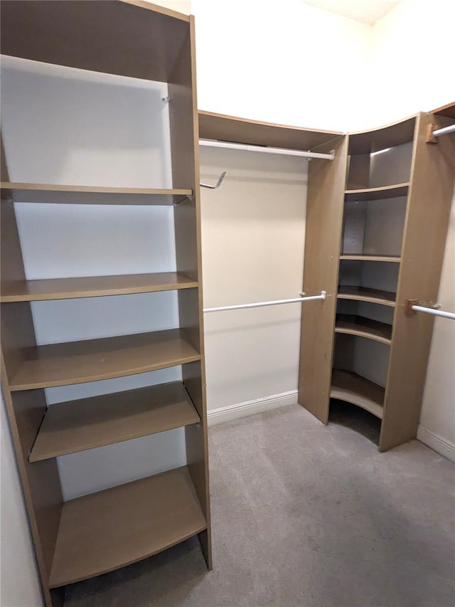 spacious closet featuring light colored carpet