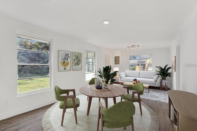 dining area with hardwood / wood-style floors and plenty of natural light