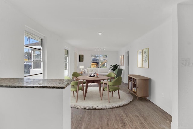 dining room with wood-type flooring