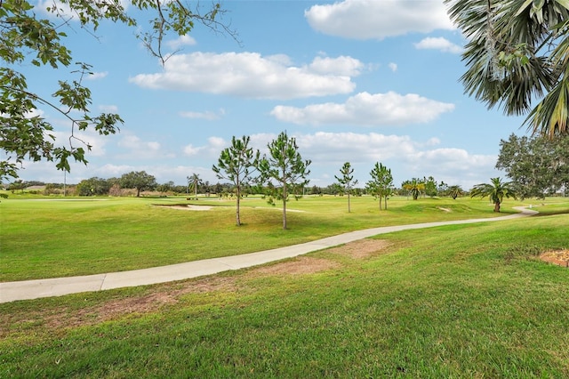 view of community with a lawn