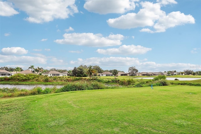 view of property's community featuring a yard