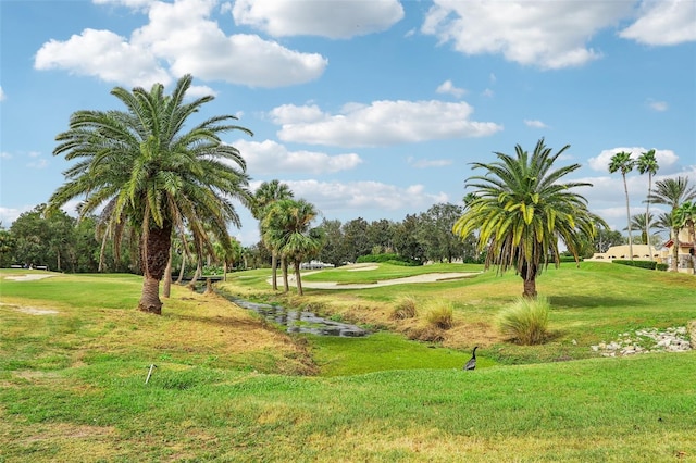 235 Royal Palm Dr, Davenport, FL 33837 - surrounding community featuring golf course view and a yard