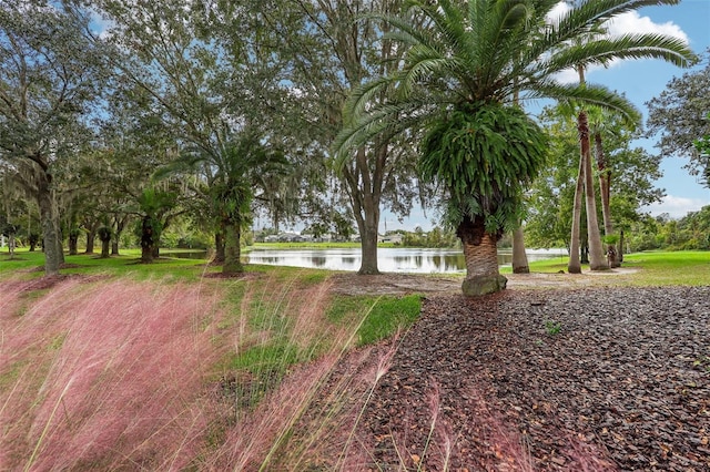 view of yard with a water view