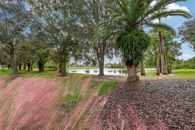 235 Royal Palm Dr, Davenport, FL 33837 - view of yard featuring a water view