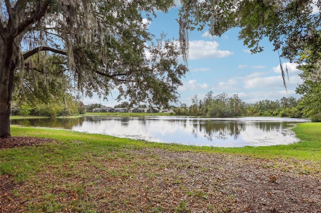 235 Royal Palm Dr, Davenport, FL 33837 - water view