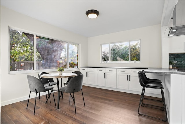 dining room with plenty of natural light and dark hardwood / wood-style flooring