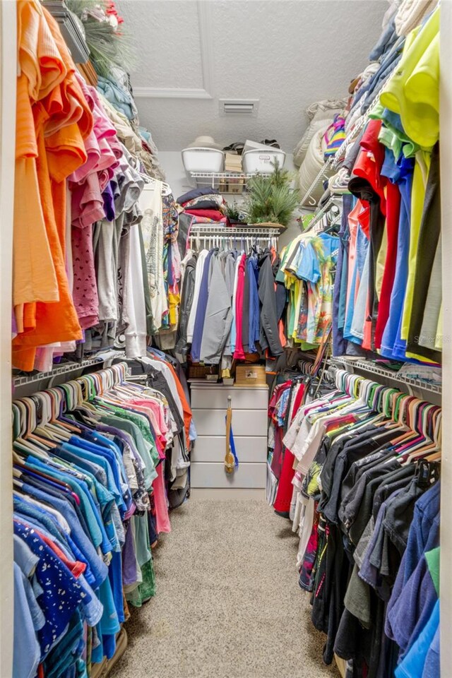 spacious closet with carpet