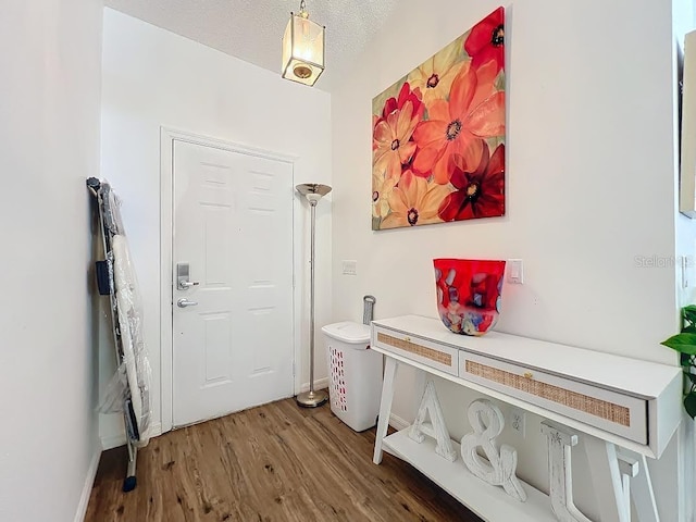 foyer featuring wood-type flooring and a textured ceiling