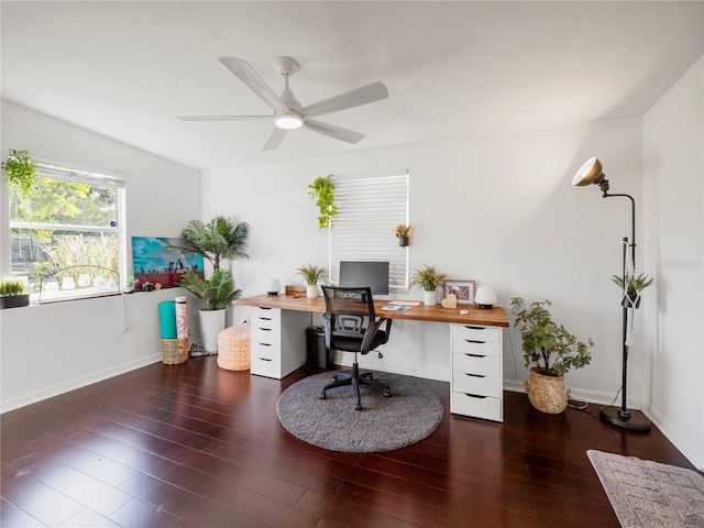 office with ceiling fan and dark hardwood / wood-style flooring