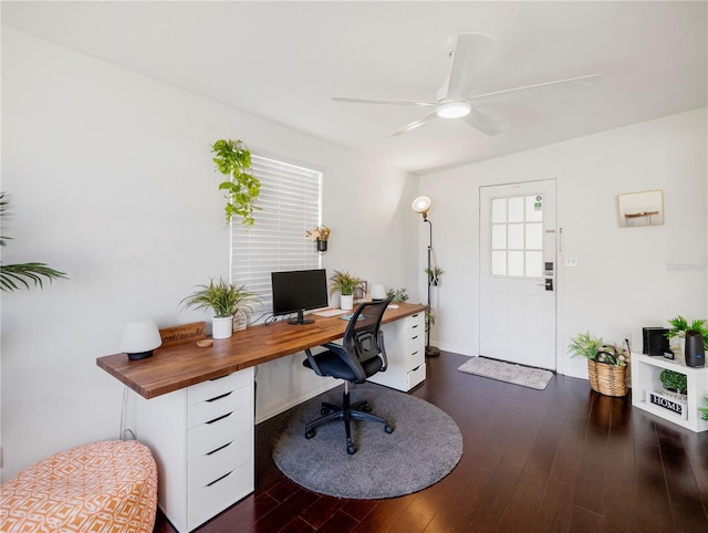 home office featuring ceiling fan and dark hardwood / wood-style flooring