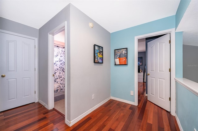 entryway featuring dark wood-type flooring