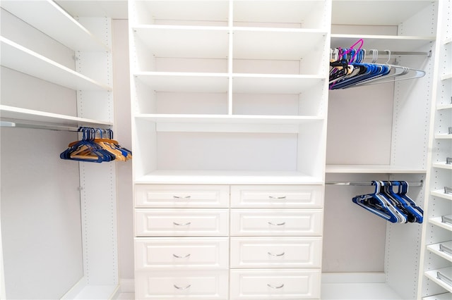 view of spacious closet