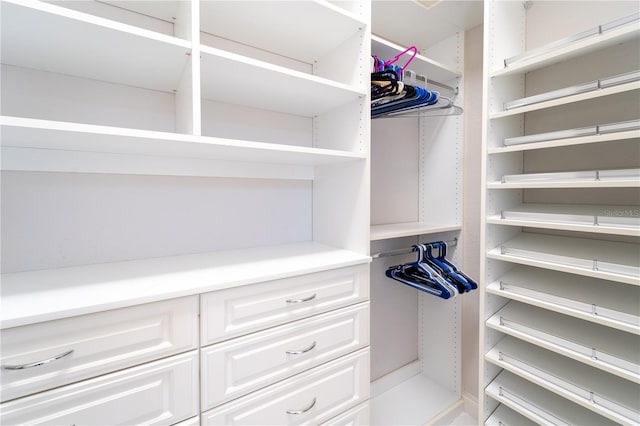 view of spacious closet