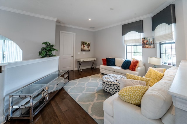 living room with crown molding and dark hardwood / wood-style floors