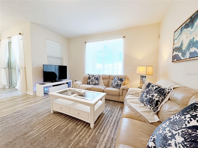 living room with wood-type flooring