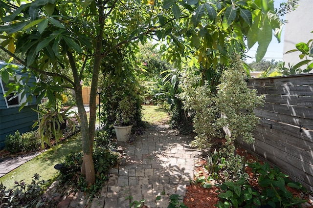 view of yard with a patio area