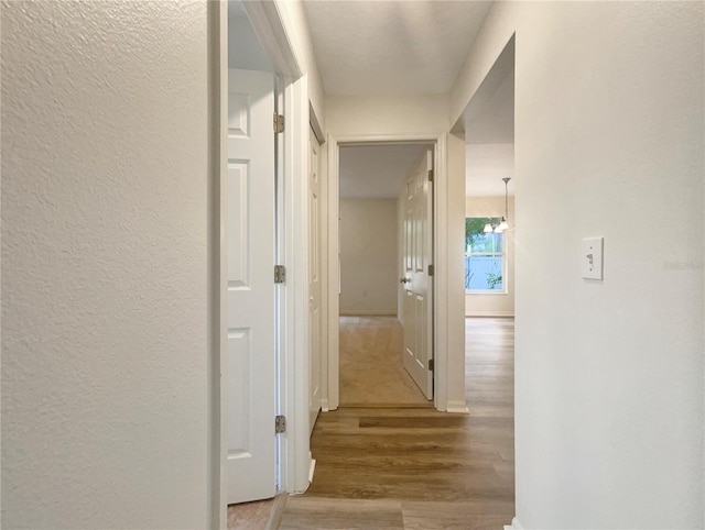 corridor featuring hardwood / wood-style floors