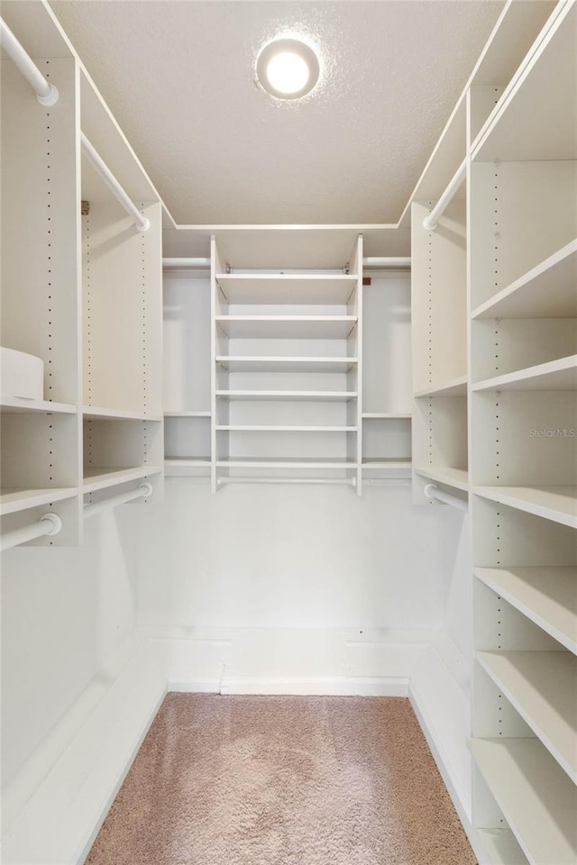 walk in closet with carpet flooring