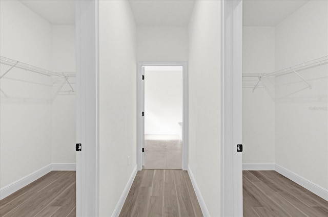 15123 SW 61st Court Rd, Ocala, FL 34473 - walk in closet with light wood finished floors