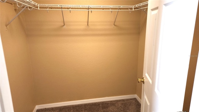 spacious closet featuring carpet floors