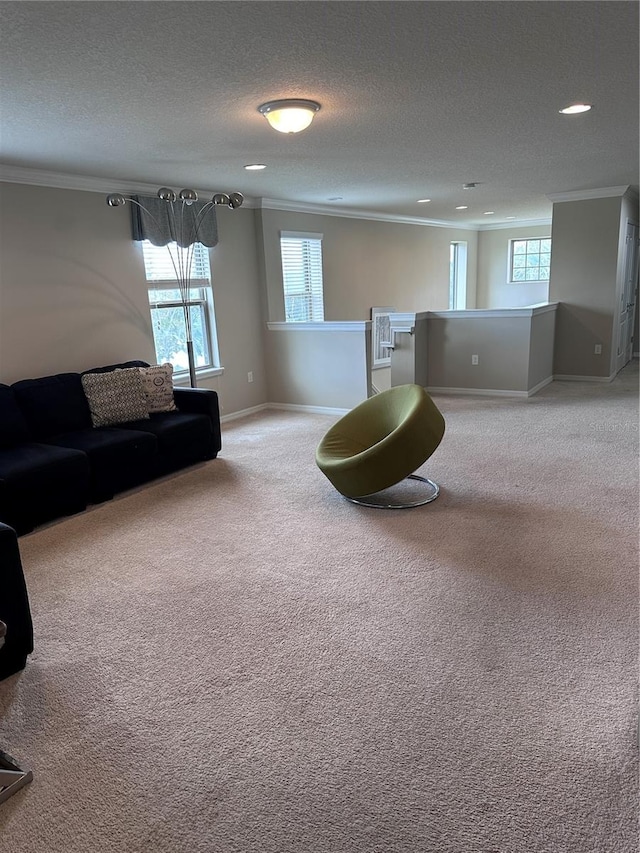 unfurnished room featuring carpet, ornamental molding, and a textured ceiling