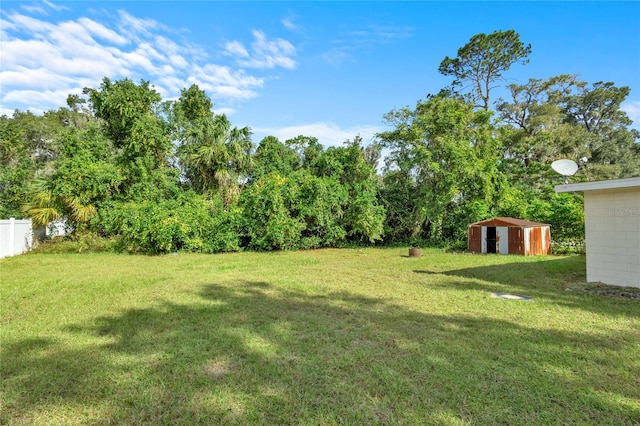 view of yard featuring a storage shed