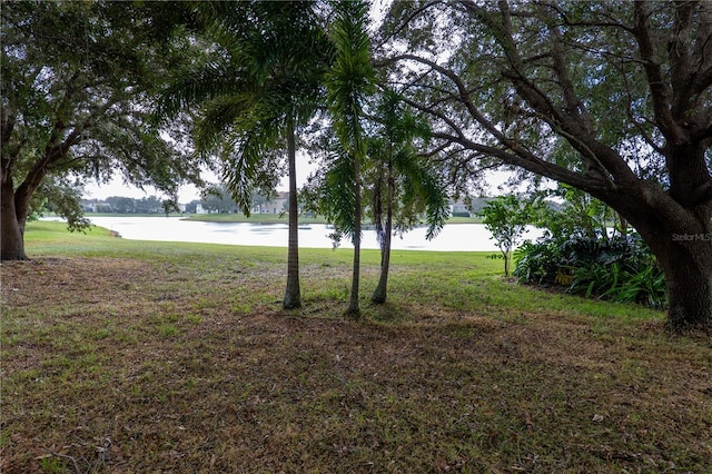 view of yard with a water view